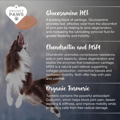 Show full view: Project Paws Advanced Grain-Free Hip & Joint Dog Supplement Chews, 120 count slide 6 of 9