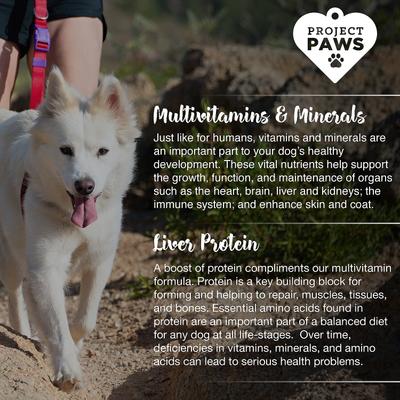 Show full view: Project Paws Advanced Multi-Vitamin & Mineral Chewable Dog Supplements, 365 count slide 6 of 9