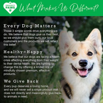 Show full view: Project Paws Advanced Multi-Vitamin & Mineral Chewable Dog Supplements, 365 count slide 8 of 9