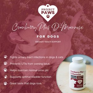 Project Paws Cranberry Plus D-Mannose Urinary Tract Support Chewable Dog Supplement, 75 count