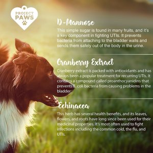 Project Paws Cranberry Plus D-Mannose Urinary Tract Support Chewable Dog Supplement, 75 count
