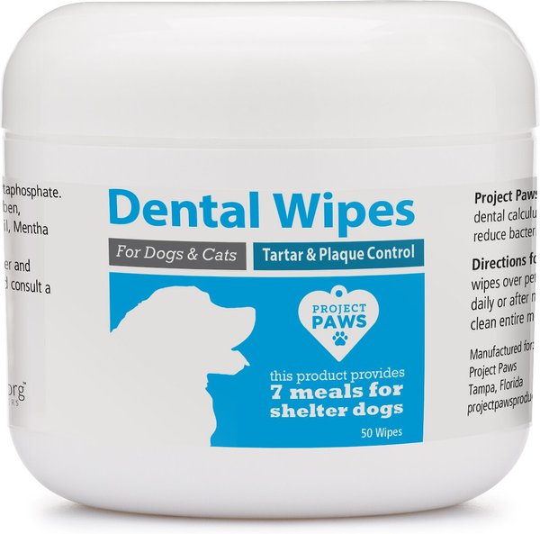 PROJECT PAWS Dog Cat Dental Wipes, 50 count