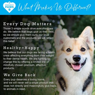 Show full view: Project Paws Dog & Cat Dental Wipes, 50 count slide 8 of 9