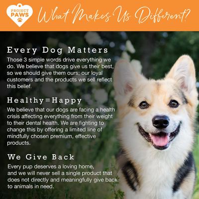 Show full view: Project Paws Omega 3-6-9 Select Grain-Free Skin & Coat Support Dog Supplement Chews, 60 count slide 8 of 10