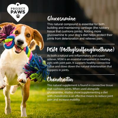 Show full view: Project Paws Original Grain-Free Hip & Joint Dog Supplement Chews, 120 count slide 5 of 8