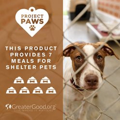Project Paws Premium Grade Bone Broth Powder Dog Food Topper, 4-oz tub slide 2 of 7