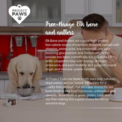 Show full view: Project Paws Premium Grade Bone Broth Dog Powder Supplement Food Topper, 4-oz tub slide 5 of 8