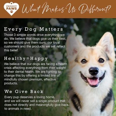 Show full view: Project Paws Premium Grade Bone Broth Dog Powder Supplement Food Topper, 4-oz tub slide 7 of 8