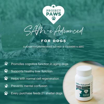 Show full view: Project Paws SAM-e Advanced Liver Support Dog Supplement, 60 count slide 5 of 10