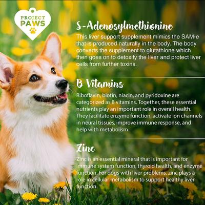 Show full view: Project Paws SAM-e Advanced Liver Support Dog Supplement, 60 count slide 6 of 10