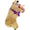 Show in main carousel: Pronk! Pets Hearth Hound Decorative Christmas Stocking, Golden Doodle slide 1 of 4