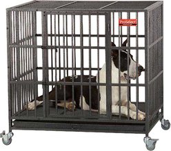 ProSelect Empire Single Door Steel Dog Crate, 41.25-in