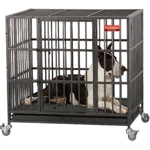 ProSelect Empire Single Door Steel Dog Crate, 41.25-in