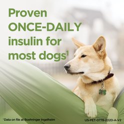 ProZinc (protamine zinc recombinant human insulin) U-40 Injectable for Dogs & Cats, 10-mL slide 2 of 9