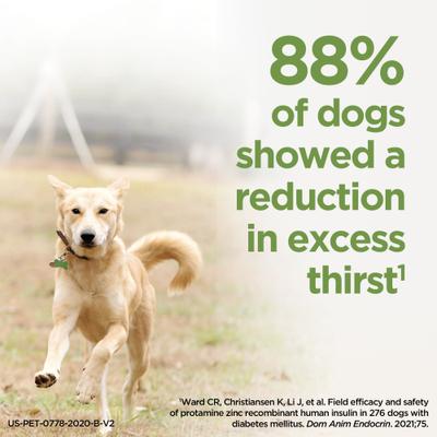 Show full view: ProZinc (protamine zinc recombinant human insulin) U-40 Injectable for Dogs & Cats, 10-mL slide 3 of 11