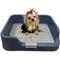 Show in main carousel: PS KOREA Indoor Dog Potty Tray, Blue slide 1 of 7