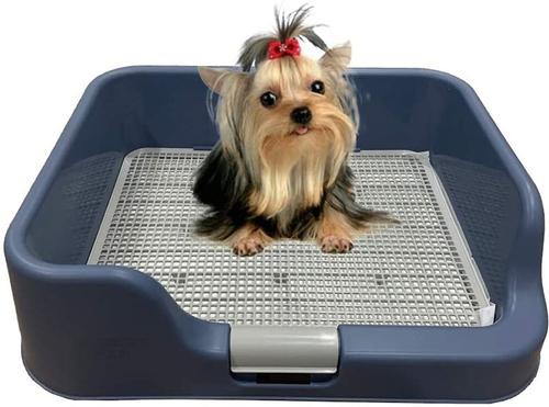 Show full view: PS KOREA Indoor Dog Potty Tray, Blue slide 1 of 7