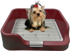 PS KOREA Indoor Dog Potty Tray, Wine