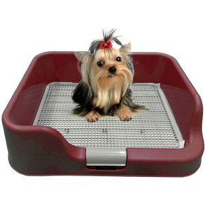 PS KOREA Indoor Dog Potty Tray, Wine