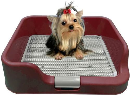 Show full view: PS KOREA Indoor Dog Potty Tray, Wine slide 1 of 6