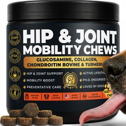 Pup Choice Hip & Joint Support with Glucosamine, Chondroitin & MSM, Beef Flavor Soft & Chewy Dog Treats, 140 Count