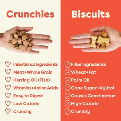 Show full view: Pupford Beef & Brown Rice Natural Biscuit Dog Treats, 3.5-oz pouch slide 4 of 10