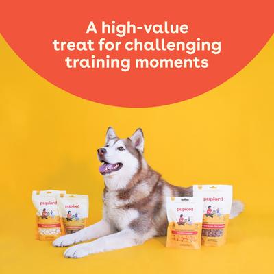 Show full view: Pupford Beef & Brown Rice Natural Biscuit Dog Treats, 3.5-oz pouch slide 9 of 10