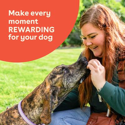 Show full view: Pupford Beef & Brown Rice Natural Biscuit Dog Treats, 8-oz pouch slide 8 of 10