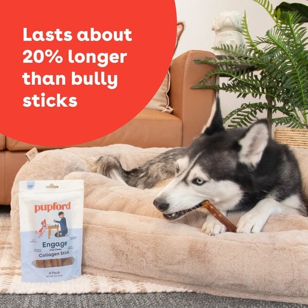 Pupford Beef Collagen Stick, 10-oz bag, 10 count