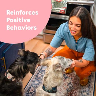 Show full view: Pupford Beef Freeze-Dried Dog Treats, 0.75-oz bag slide 5 of 10