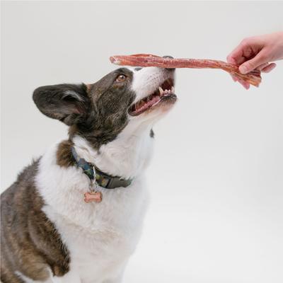 Show full view: Pupford Bully Stick 12-inch Dog Chew, 1 count slide 4 of 12
