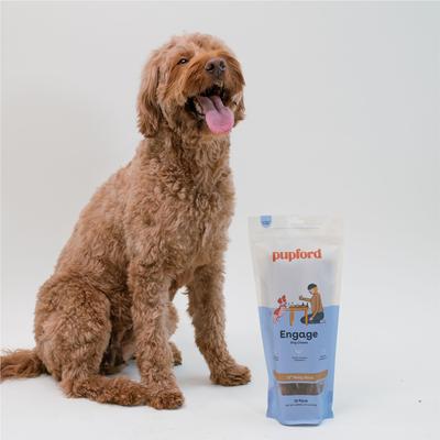 Show full view: Pupford Bully Stick 12-inch Dog Chew, 10 count slide 4 of 12