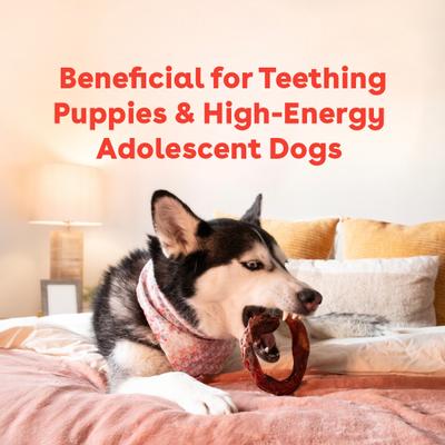 Show full view: Pupford Bully Teething Rings Dog Chews, 8 count slide 8 of 10