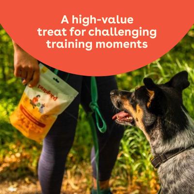 Show full view: Pupford Cheddar Crunchies Human-Grade Limited Ingredient Cheddar Cheese Flavored Crunchy Dog Treats, 4.25-oz bag slide 5 of 9