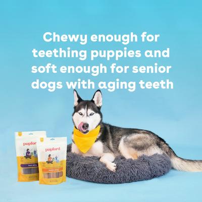 Show full view: Pupford Chicken High-Protein Jerky Dog Treats, 10-oz bag slide 5 of 9