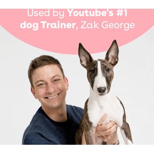 Pupford Chicken Soft & Chewy Training Dog Treats, 10-oz pouch