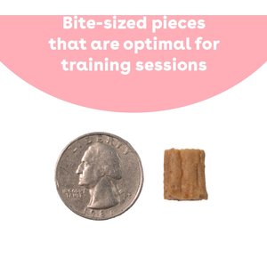 Pupford Chicken Soft & Chewy Training Dog Treats, 10-oz pouch