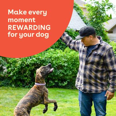 Show full view: Pupford Chicken & Sweet Potatoes Natural Freeze-Dried Dog Treats, 5-oz pouch slide 8 of 10