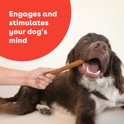 Show full view: Pupford Collagen Stick Dog Treat, 4-oz bag slide 4 of 10