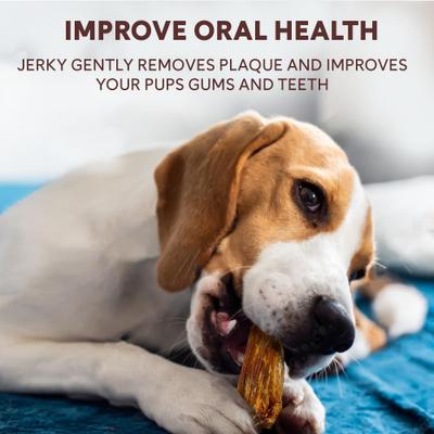 Show full view: Pupford Crunchy Chicken High-Protein Jerky Dog Treats, 4-oz bag slide 7 of 11
