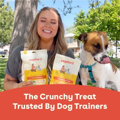 Show full view: Pupford Gouda Crunchies Human-Grade Limited Ingredient Gouda Cheese Flavored Crunchy Dog Treats, 7.5-oz bag slide 9 of 10