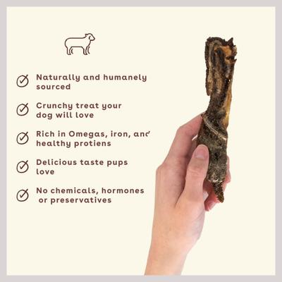 Show full view: Pupford Lamb High-Protein Jerky Dog Treats, 7-oz bag slide 4 of 11