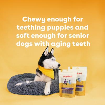 Show full view: Pupford Pork High-Protein Jerky Dog Treats, 10-oz bag slide 5 of 9