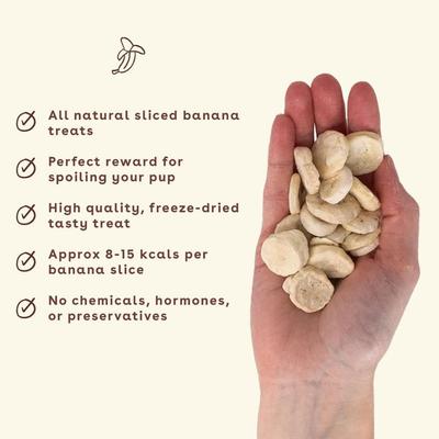 Show full view: Pupford Reward Banana Chips Natural Freeze-Dried Dog Treats, 3-oz bag slide 3 of 8