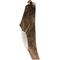 Show in main carousel: Pupford Split Elk Antler Dog Chew, 1 count slide 3 of 9