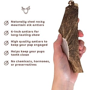 Pupford Split Elk Antler Dog Chew, 1 count