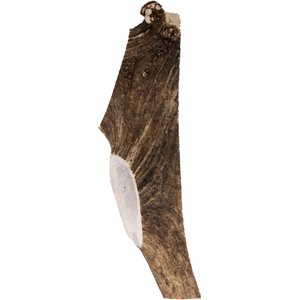 Pupford Split Elk Antler Dog Chew, 3 count