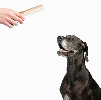 Show full view: Pupford Split Elk Antler Dog Chew, 3 count slide 7 of 9