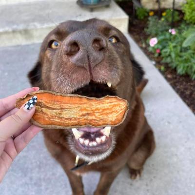 Show full view: Pupford Sweet Potato Natural Jerky Dog Treats, 4-oz bag slide 7 of 10