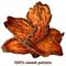 Show in main carousel: Pupford Sweet Potato Natural Jerky Dog Treats, 4-oz bag slide 6 of 10